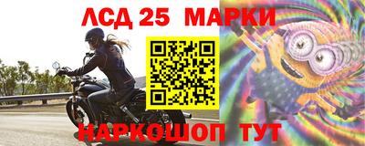 прущие грибы Канаш