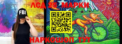 спиды Камышлов