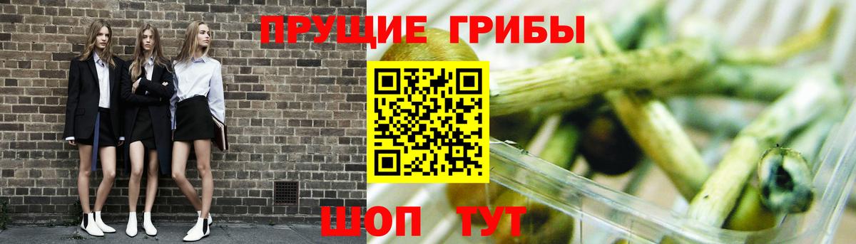 Псилоцибиновые грибы GOLDEN TEACHER Кызыл